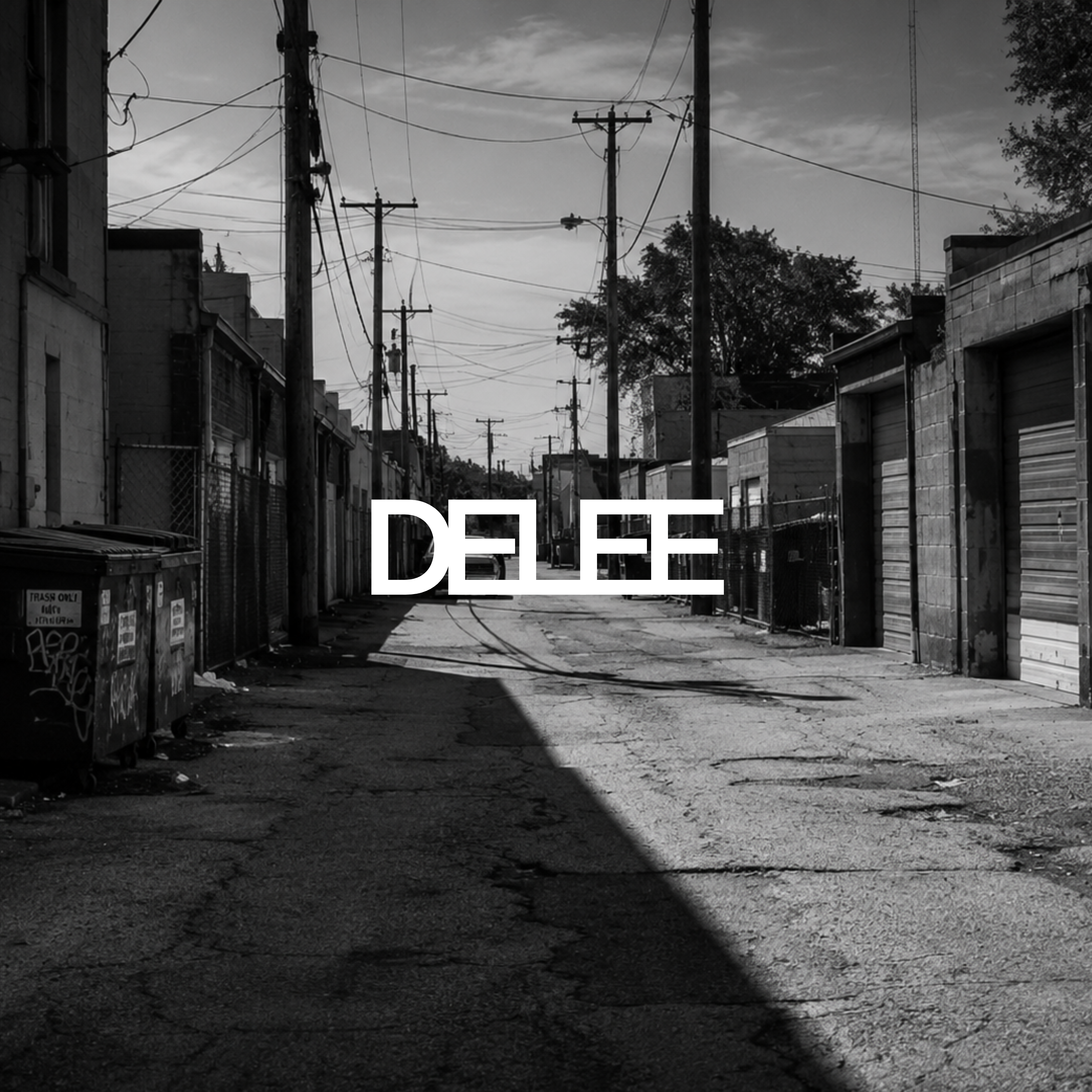 DELEE VISION:STREET