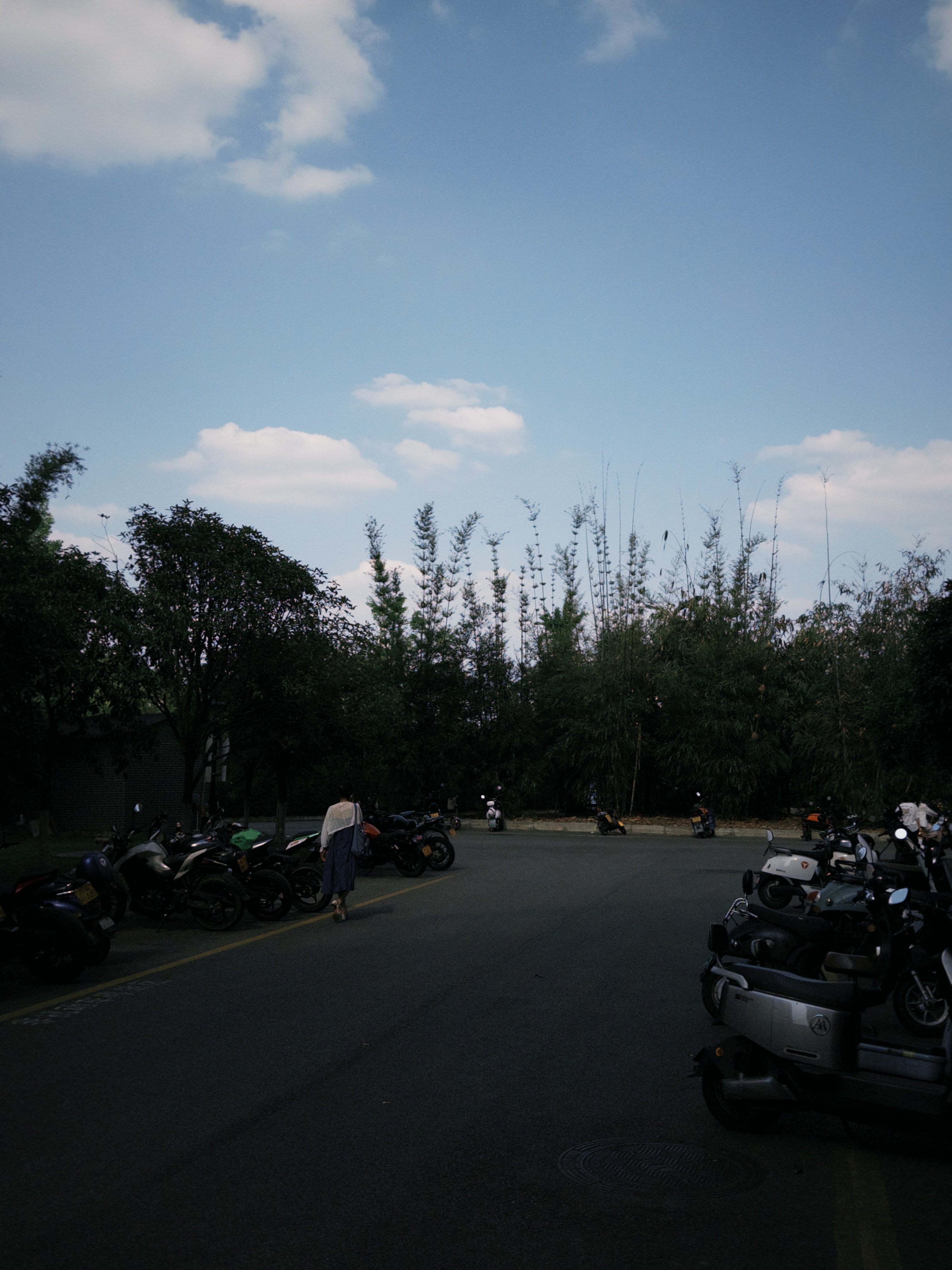 SHOT:NEARBY SCHOOL