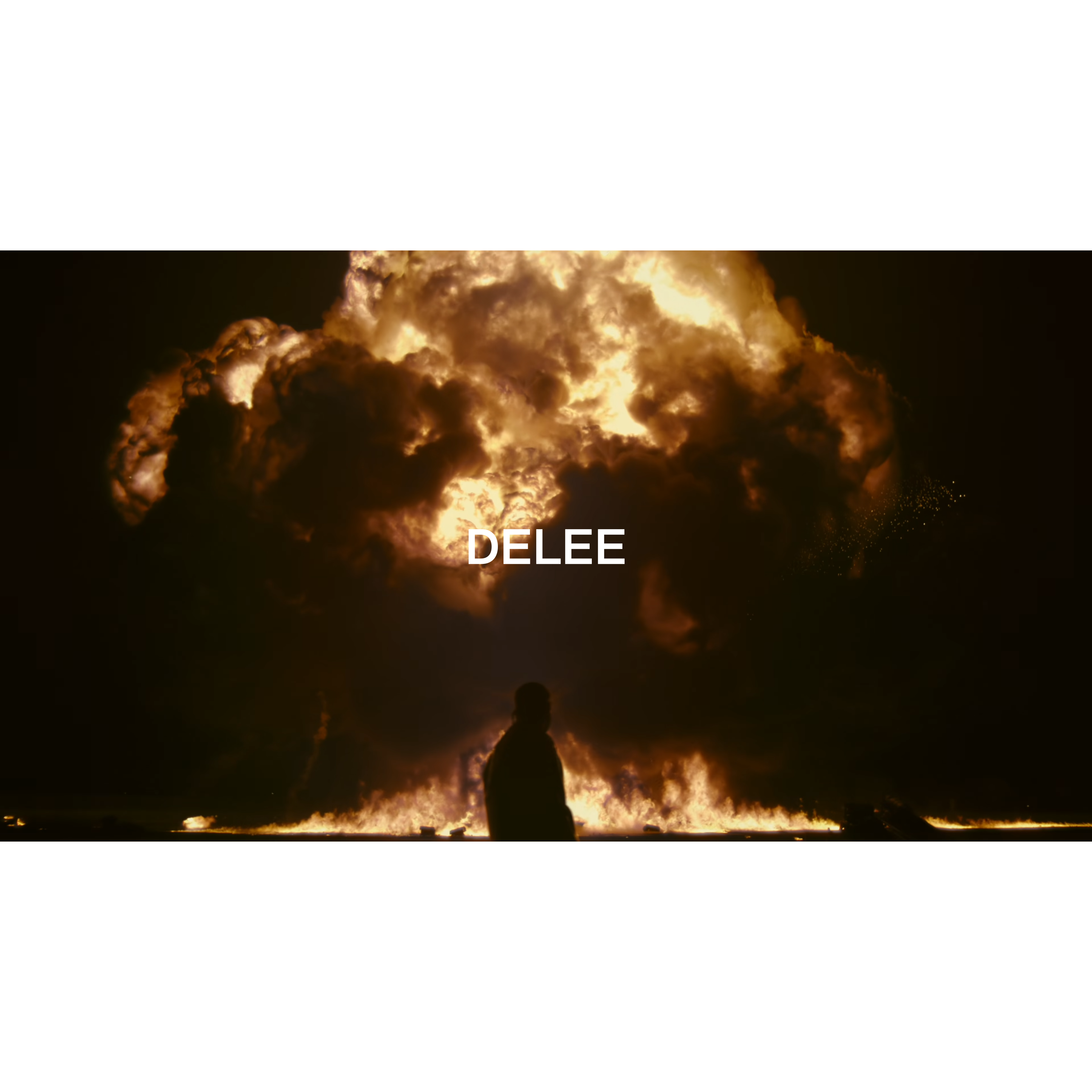 DELEE VISION:ATTEMPT #2